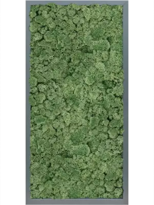 MDF RAL 7016 Satin Gloss 100% Reindeer Moss (Moss green)
