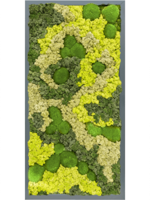 MDF RAL 7016 Satin Gloss 30% Ball moss 70% Reindeer moss (Mix)