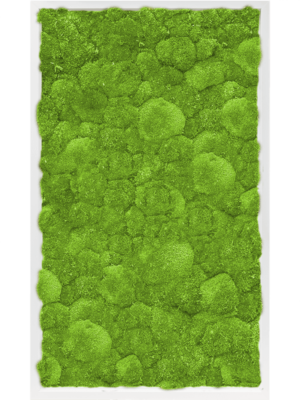 MDF RAL 9010 Satin Gloss 100% Ball Moss