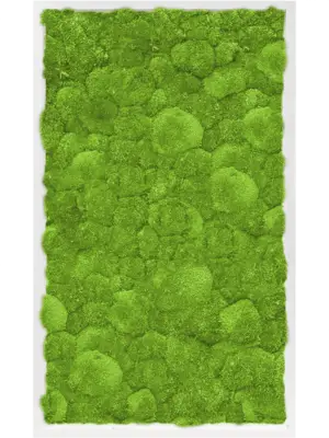 MDF RAL 9010 Satin Gloss 100% Ball Moss