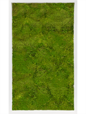 MDF RAL 9010 Satin Gloss 100% Flat Moss