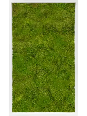 MDF RAL 9010 Satin Gloss 100% Flat Moss