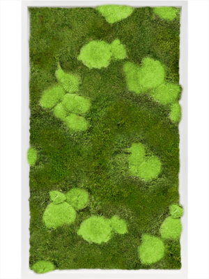 MDF RAL 9010 Satin Gloss 30% Ball- And 70% Flat Moss