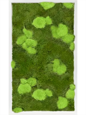 MDF RAL 9010 Satin Gloss 30% Ball- And 70% Flat Moss