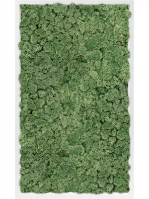 MDF RAL 9010 Satin Gloss 100% Reindeer Moss (Moss green)