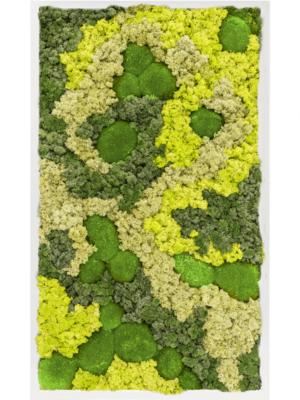 MDF RAL 9010 Satin Gloss 30% Ball moss 70% Reindeer moss (Mix)