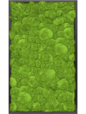 MDF RAL 9005 Satin Gloss 100% Ball Moss