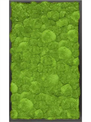 MDF RAL 9005 Satin Gloss 100% Ball Moss