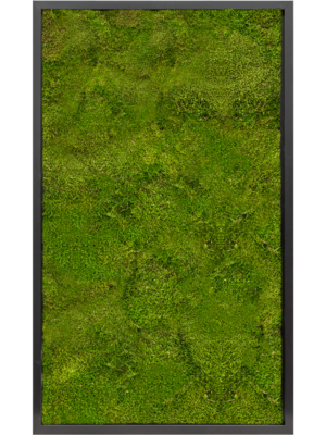 MDF RAL 9005 Satin Gloss 100% Flat Moss