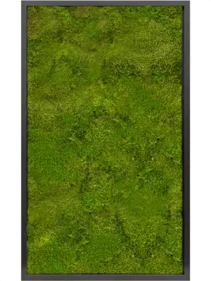 MDF RAL 9005 Satin Gloss 100% Flat Moss