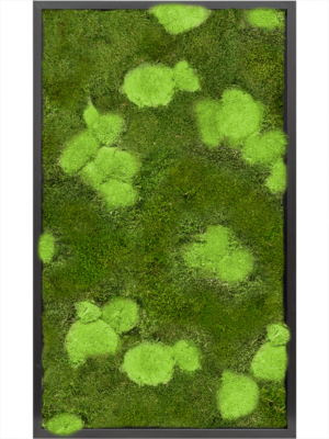 MDF RAL 9005 Satin Gloss 30% Ball- And 70% Flat Moss