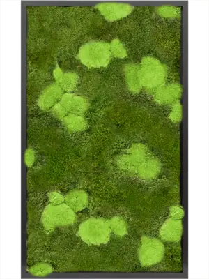 MDF RAL 9005 Satin Gloss 30% Ball- And 70% Flat Moss