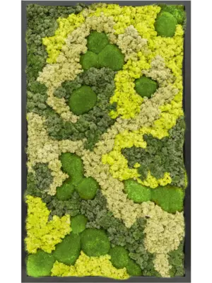 MDF RAL 9005 Satin Gloss 30% Ball moss 70% Reindeer moss (Mix)