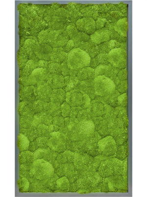 MDF RAL 7016 Satin Gloss 100% Ball Moss
