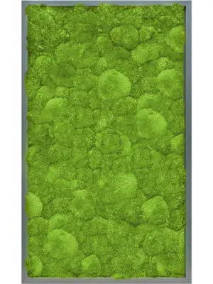 MDF RAL 7016 Satin Gloss 100% Ball Moss