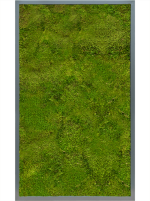 MDF RAL 7016 Satin Gloss 100% Flat Moss