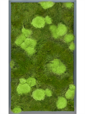 MDF RAL 7016 Satin Gloss 30% Ball- And 70% Flat Moss