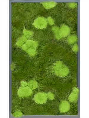 MDF RAL 7016 Satin Gloss 30% Ball- And 70% Flat Moss