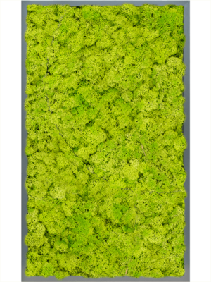 MDF RAL 7016 Satin Gloss 100% Reindeer Moss (Spring green)