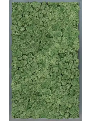 MDF RAL 7016 Satin Gloss 100% Reindeer Moss (Moss green)