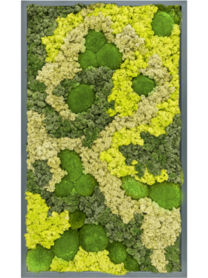 MDF RAL 7016 Satin Gloss 30% Ball moss 70% Reindeer moss (Mix)