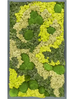 MDF RAL 7016 Satin Gloss 30% Ball moss 70% Reindeer moss (Mix)