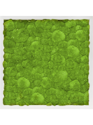 MDF RAL 9010 Satin Gloss 100% Ball Moss