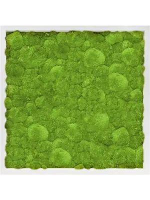 MDF RAL 9010 Satin Gloss 100% Ball Moss