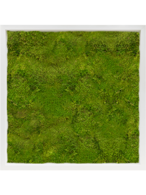 MDF RAL 9010 Satin Gloss 100% Flat Moss