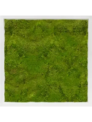 MDF RAL 9010 Satin Gloss 100% Flat Moss