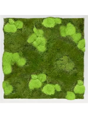 MDF RAL 9010 Satin Gloss 30% Ball- And 70% Flat Moss