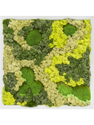 MDF RAL 9010 Satin Gloss 30% Ball moss 70% Reindeer moss (Mix)