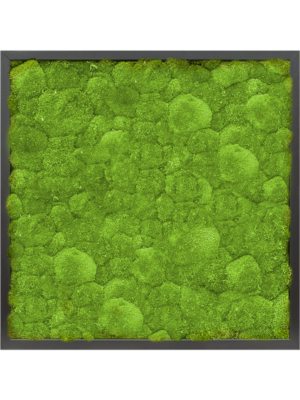 MDF RAL 9005 Satin Gloss 100% Ball Moss