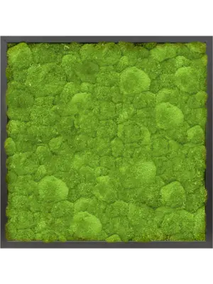 MDF RAL 9005 Satin Gloss 100% Ball Moss