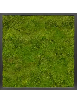 MDF RAL 9005 Satin Gloss 100% Flat Moss