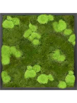 MDF RAL 9005 Satin Gloss 30% Ball- And 70% Flat Moss