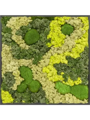 MDF RAL 9005 Satin Gloss 30% Ball moss 70% Reindeer moss (Mix)