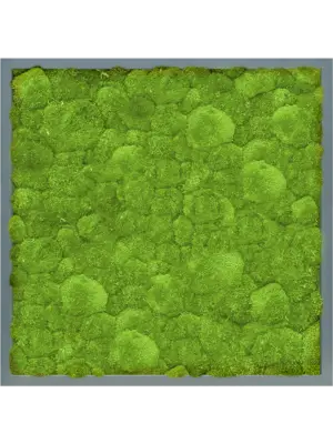 MDF RAL 7016 Satin Gloss 100% Ball Moss