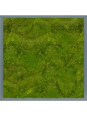 MDF RAL 7016 Satin Gloss 100% Flat Moss