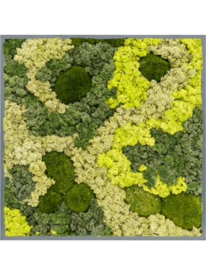 MDF RAL 7016 Satin Gloss 30% Ball moss 70% Reindeer moss (Mix)