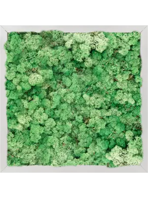 Aluminum 100% Reindeer moss (Grass Green)