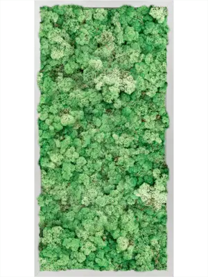 Aluminum 100% Reindeer moss (Grass Green)