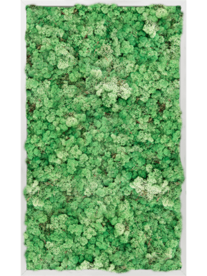 Aluminum 100% Reindeer moss (Grass Green)