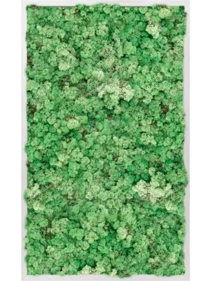Aluminum 100% Reindeer moss (Grass Green)