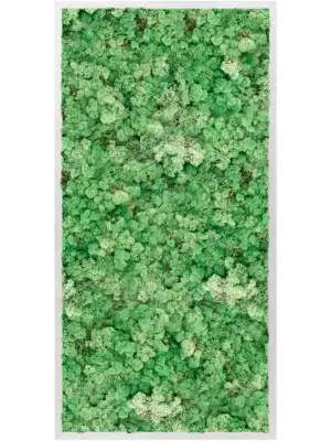 Aluminum 100% Reindeer moss (Grass Green)
