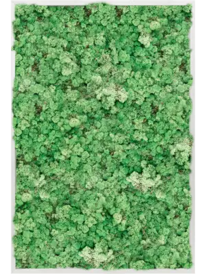 Aluminum 100% Reindeer moss (Grass Green)