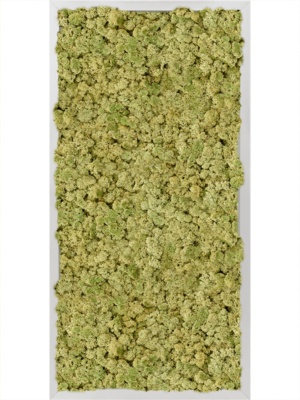 Aluminum 100% Reindeer moss (Old Green)