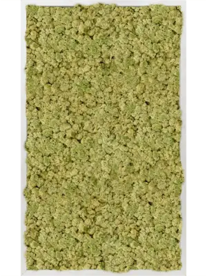 Aluminum 100% Reindeer moss (Old Green)