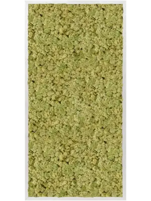 Aluminum 100% Reindeer moss (Old Green)