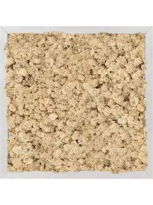 Aluminum 100% Reindeer moss (Natural)